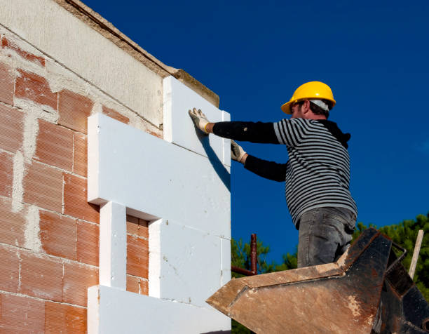 Best Types of Insulation in La Palma, CA