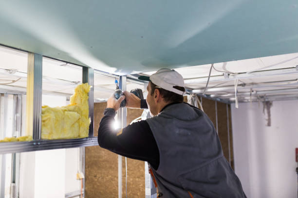 Best Insulation Installation Services in La Palma, CA