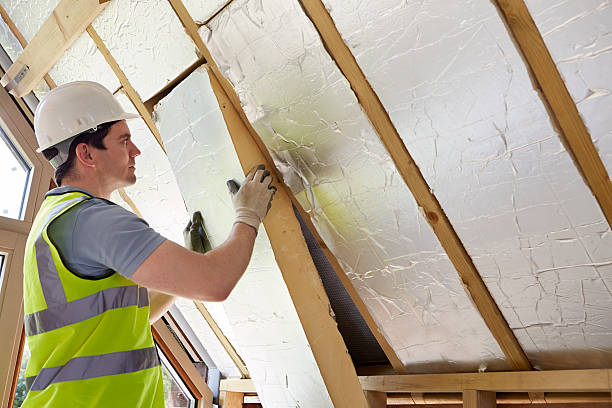 Best Insulation Maintenance and Repair in La Palma, CA