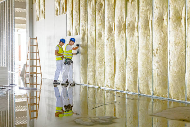 Best Insulation for Specific Applications in La Palma, CA